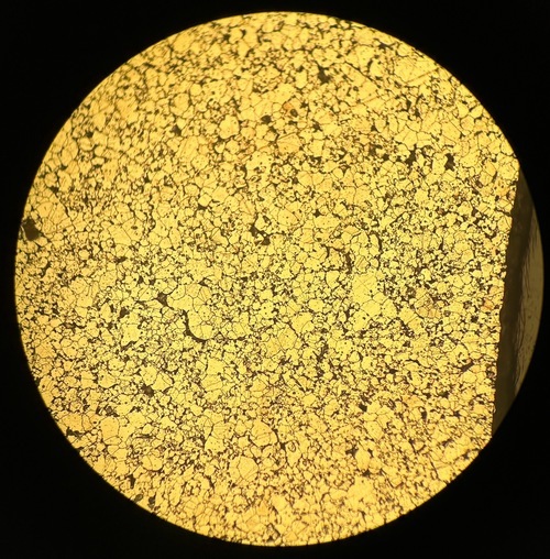 2024/10/18 SUS Result